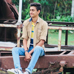 Flying Jatt net worth