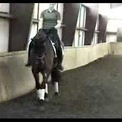 SonnySkyDressage