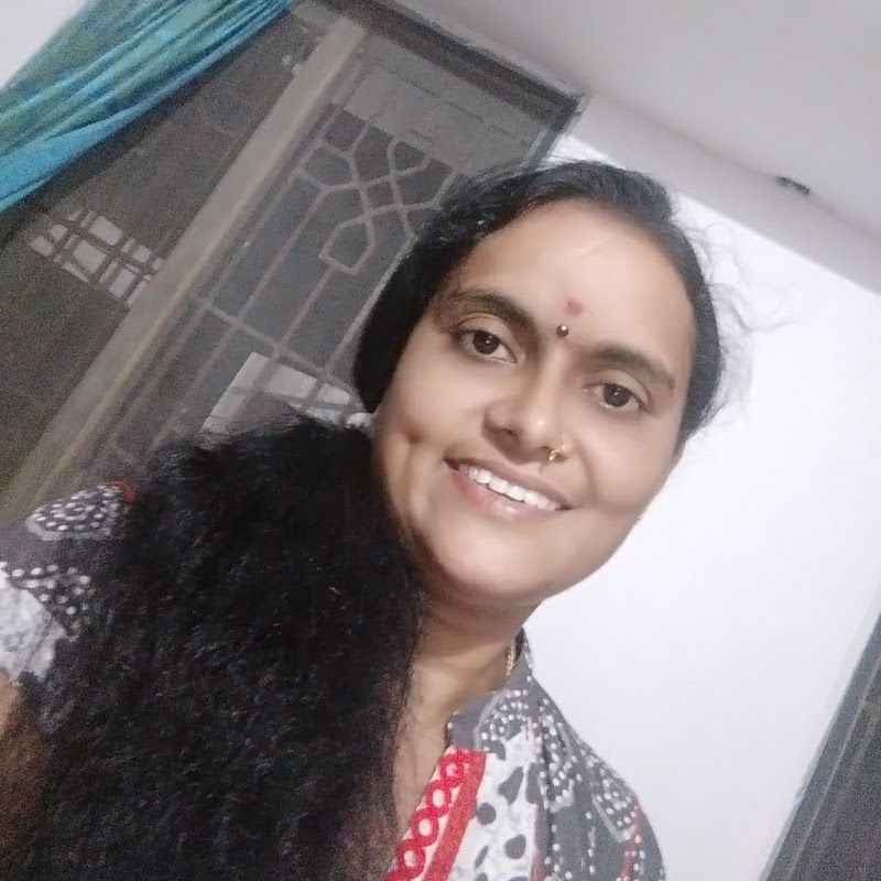 sree vlogs