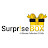 @surprisebox5733