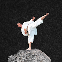 shotokan karate online net worth
