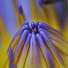 T5C3W2mfvqQ-channel-avatar-Mewantha Somarathna
