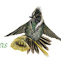 Bogota Birding & Colombia Wildlife Tours logo