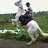 KERALA EQUESTRIAN