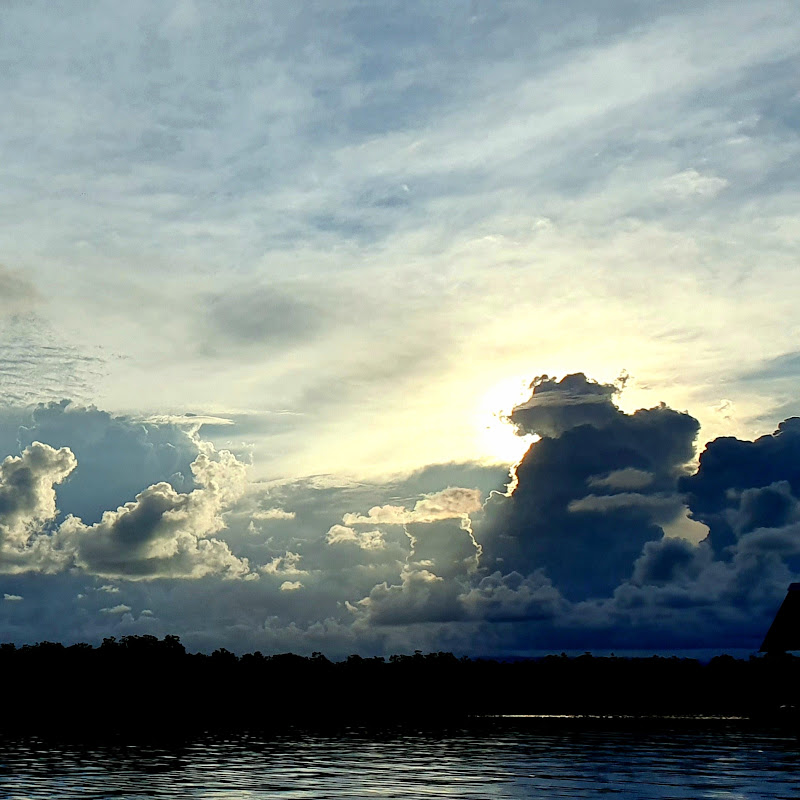 The Sunsetter