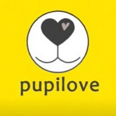 PUPILOVE channel logo