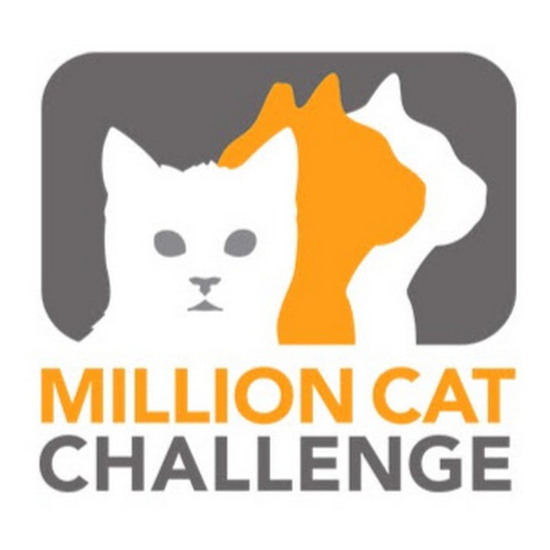 Million Cat Challenge
