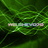 welshevo79