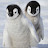 @smilypenguin Avatar