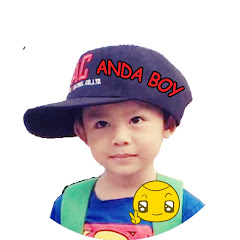 ANDA BOY