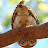 @frankpaush's avatar