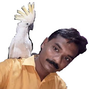 Chakraborty Birds Farm