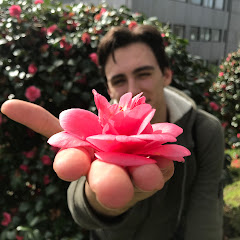 El Chico Del Bosque