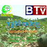 F6Mw055JUzU-channel-avatar-Agriculture Program (កម្មវិធី កសិកម្ម)