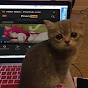 Zuri Video