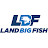 Land Big Fish