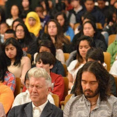 Meditación Trascendental España
