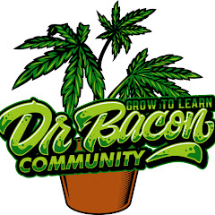 Dr. Bacon Community Avatar