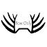 _47FiYEE_8Q-channel-avatar-Bow Only Outdoors