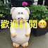 3GNsfTU-Q4A-channel-avatar-多倫多生活日記Toronto Life Diary.