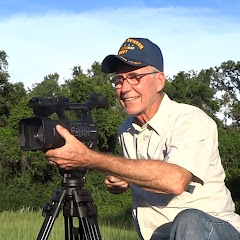 WhitleyVideos — YouTube channel thumbnail