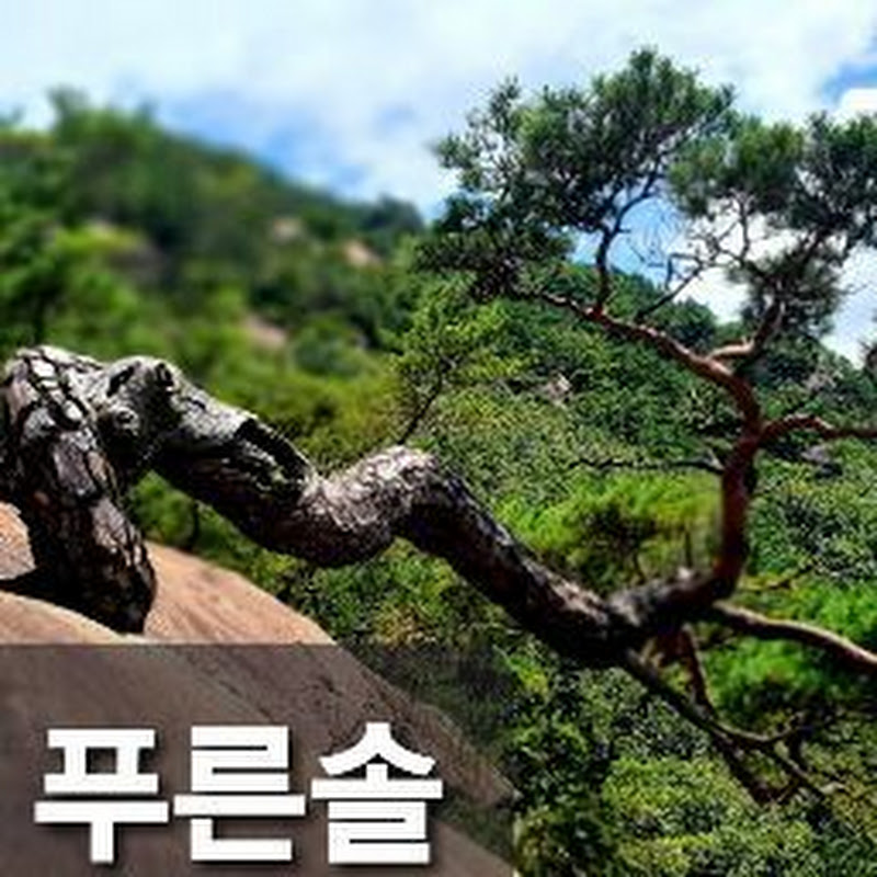 푸른솔 puleunsol icon