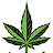 @mary-wana