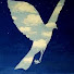 o2V5i7J4zWM-channel-avatar-blu789sky