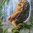 i2dMmkR535A-channel-avatar-Natalya хобби - любимые крестики