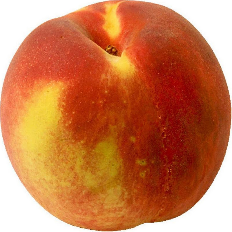 Tristan Peach