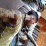 8GZ3YBJBI1U-channel-avatar-Demian Green