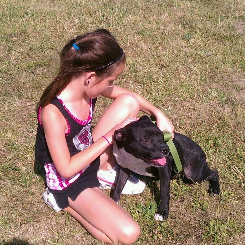 Washington County IL Partners for Pets