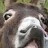 @Daniel-zb2zy Avatar