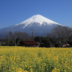 JAPAN GEOGRAPHICアイコン画像