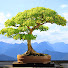 ICsBu6nkWCk-channel-avatar-Blue Sky Bonsai