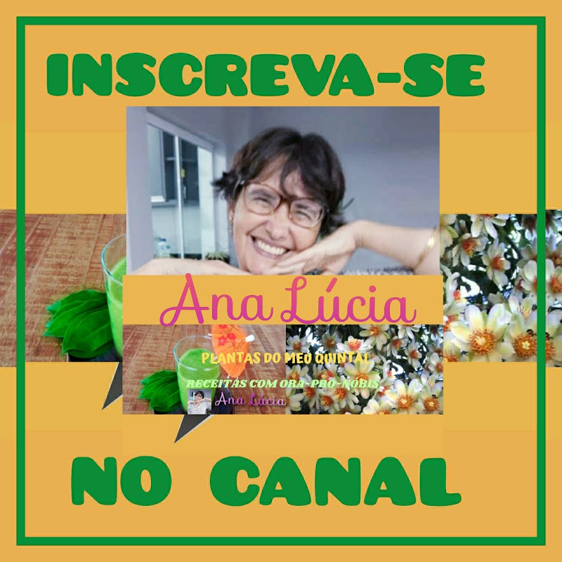 Plantas do meu quintal receitas saudáveis