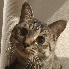 ひろとーだお