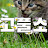 @user-rp4uw5ef3p