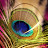 Krishna Tarot