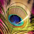 aD5UbEVQ8-Q-channel-avatar-Krishna Tarot