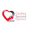 tuJGbAbjfCU-channel-avatar-Cardiac Second Opinion