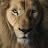 @user-hd2jf3me3x