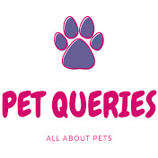 Pet Queries–CATS