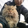 Автор
