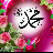 @maryammahmoud6235