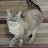 @billcrawford6367's avatar