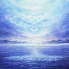 Sentinelle ! Sentinelle ! net worth