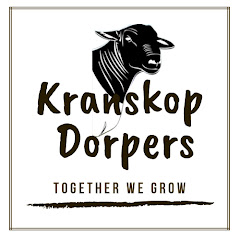 Kranskop Dorpers