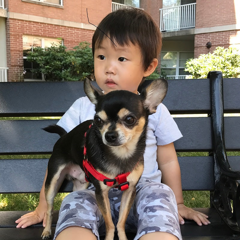 Merama NYCのサムネイル