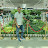 @vivekmall2829